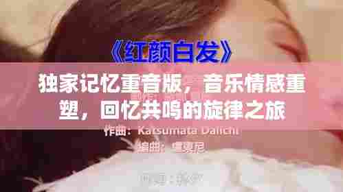 独家记忆重音版,音乐情感重塑,回忆共鸣的旋律之旅