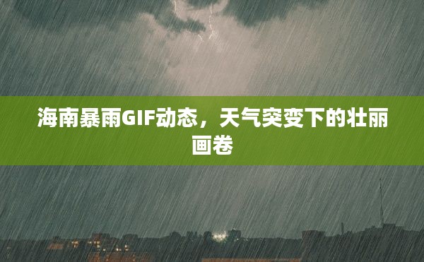 海南暴雨GIF动态，天气突变下的壮丽画卷