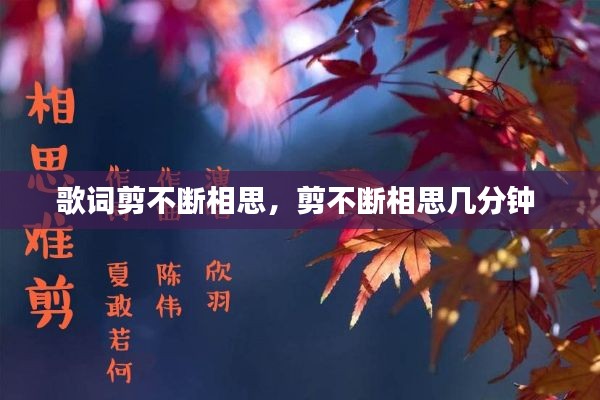 歌词剪不断相思，剪不断相思几分钟 