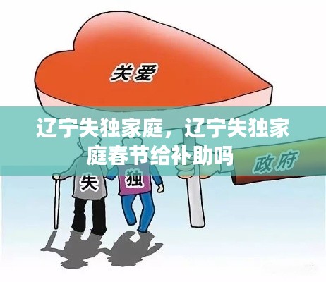 辽宁失独家庭，辽宁失独家庭春节给补助吗 
