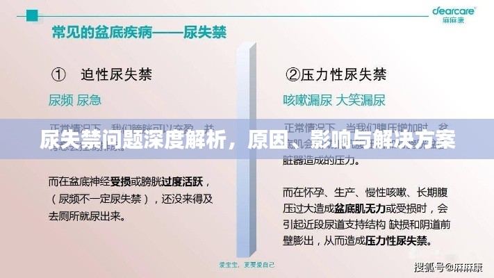 尿失禁问题深度解析，原因、影响与解决方案