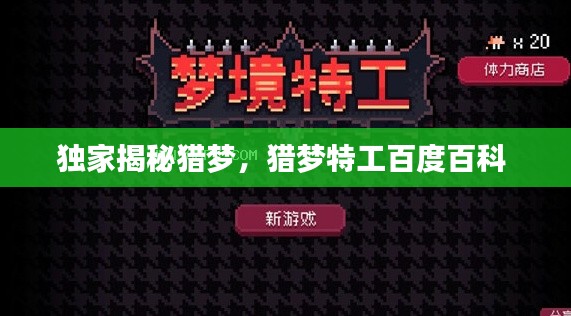 独家揭秘猎梦,猎梦特工百度百科