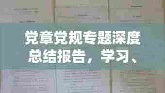 党章党规专题深度总结报告,学习、实践与反思
