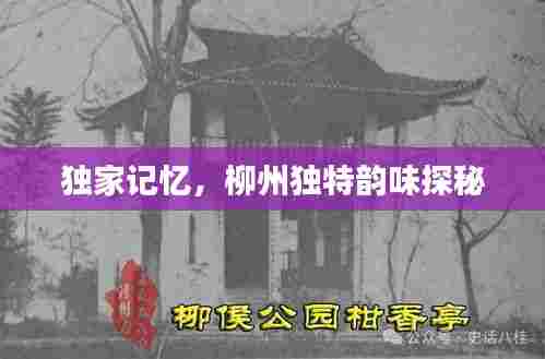 独家记忆，柳州独特韵味探秘