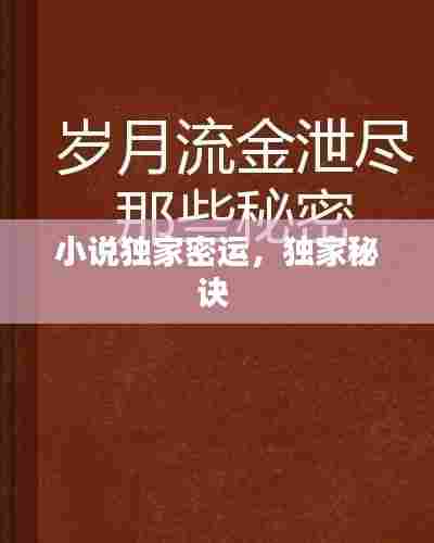 小说独家密运,独家秘诀