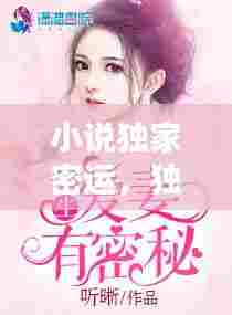 小说独家密运,独家秘诀