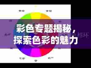 彩色专题揭秘,探索色彩的魅力及应用