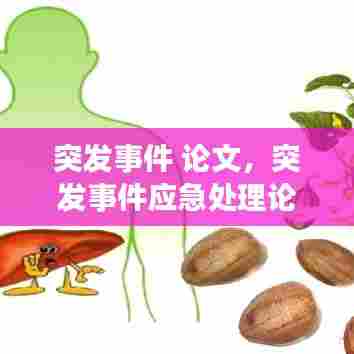 突发事件 论文，突发事件应急处理论文 