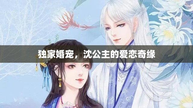 独家婚宠，沈公主的爱恋奇缘