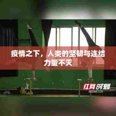 疫情之下,人类的坚韧与连结力量不灭