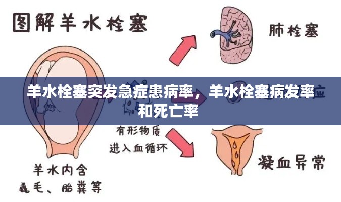 羊水栓塞突发急症患病率,羊水栓塞病发率和死亡率