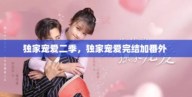 独家宠爱二季,独家宠爱完结加番外