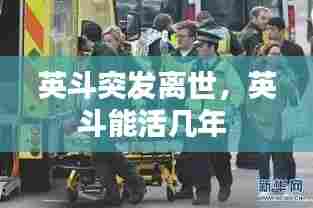 英斗突发离世,英斗能活几年