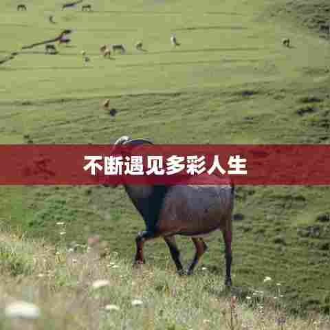 不断遇见多彩人生