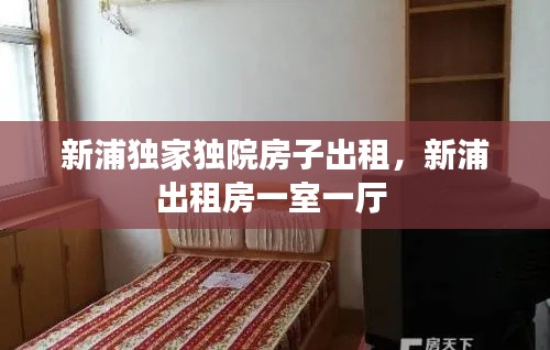 新浦独家独院房子出租,新浦出租房一室一厅