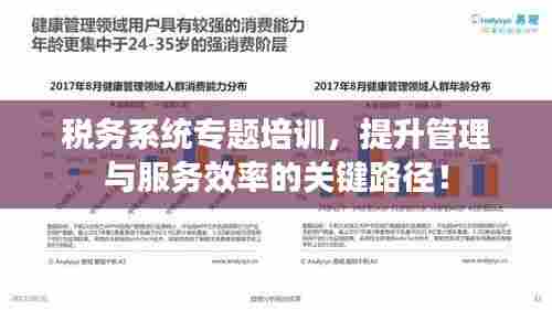 税务系统专题培训,提升管理与服务效率的关键路径!