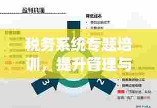 税务系统专题培训,提升管理与服务效率的关键路径!