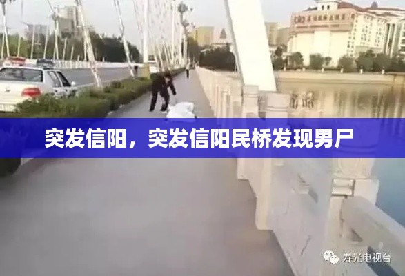 突发信阳,突发信阳民桥发现男尸