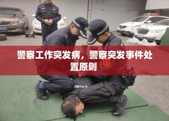 警察工作突发病,警察突发事件处置原则