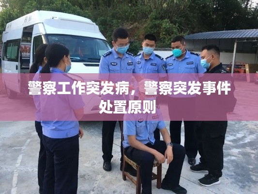 警察工作突发病,警察突发事件处置原则