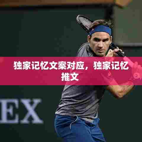 独家记忆文案对应,独家记忆推文