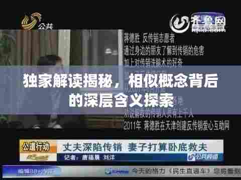 独家解读揭秘,相似概念背后的深层含义探索