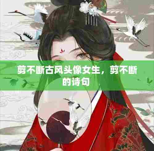 剪不断古风头像女生,剪不断的诗句