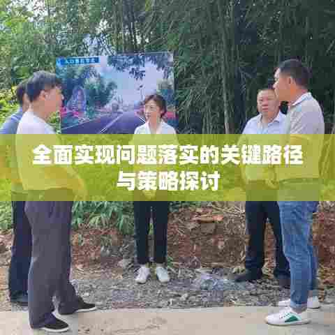 全面实现问题落实的关键路径与策略探讨