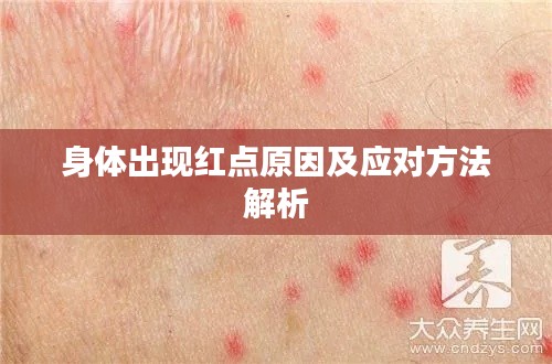 身体出现红点原因及应对方法解析