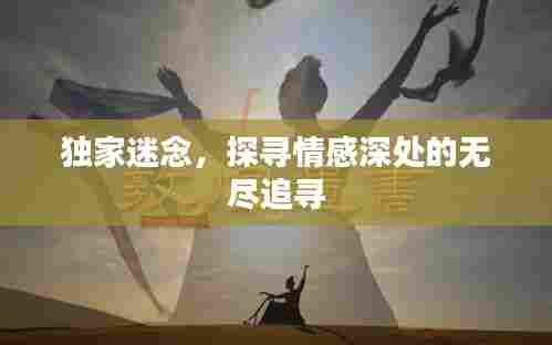 独家迷念,探寻情感深处的无尽追寻