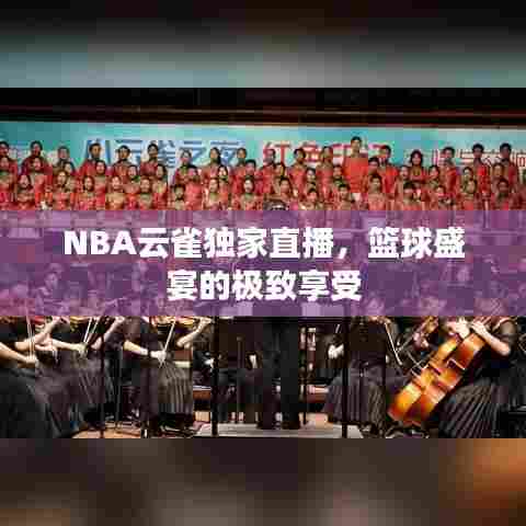 NBA云雀独家直播，篮球盛宴的极致享受