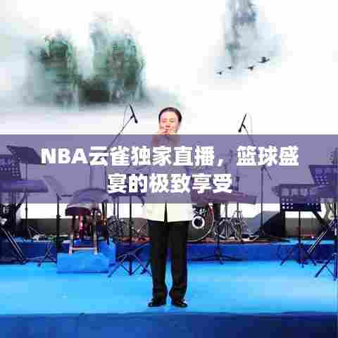 NBA云雀独家直播,篮球盛宴的极致享受