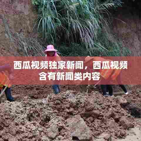 西瓜视频独家新闻，西瓜视频含有新闻类内容 