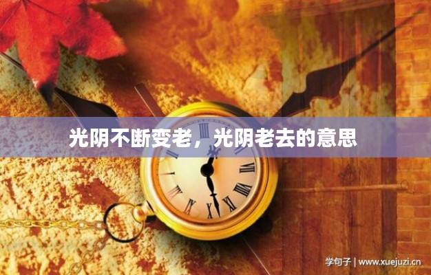 光阴不断变老,光阴老去的意思