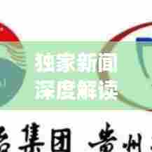 独家新闻深度解读,揭示其背后的真正含义与影响力