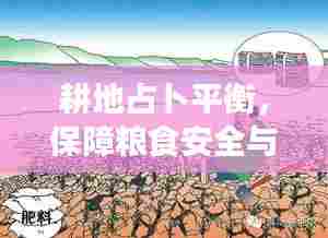 耕地占卜平衡，保障粮食安全与土地资源高效利用之道