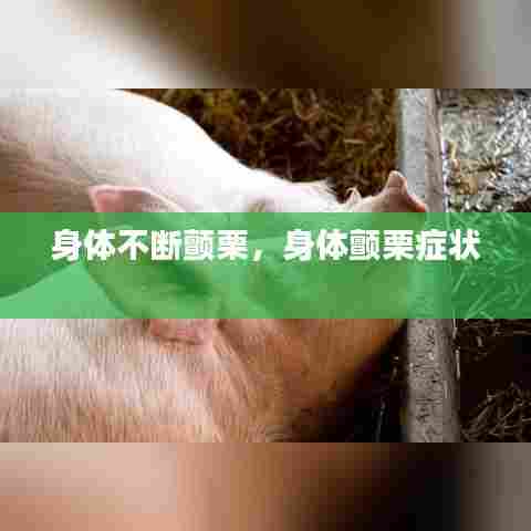 身体不断颤栗,身体颤栗症状