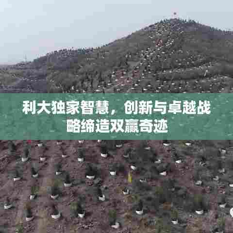 利大独家智慧，创新与卓越战略缔造双赢奇迹
