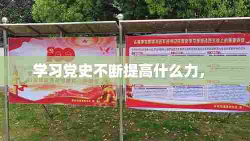 学习党史不断提高什么力,