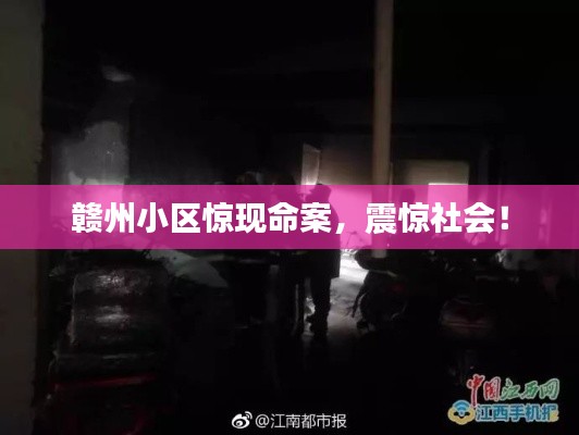 临危不惧 第6页