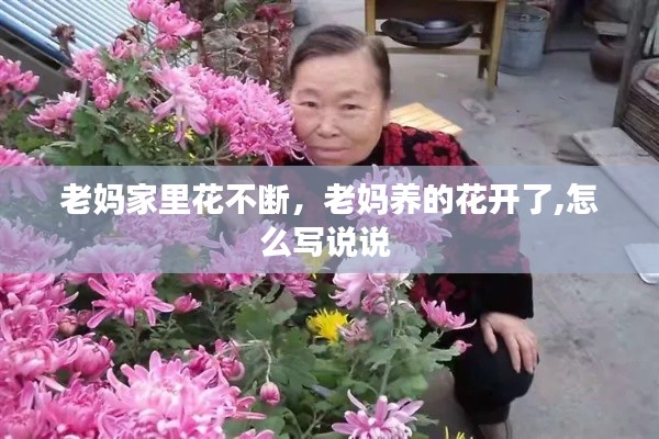 老妈家里花不断,老妈养的花开了,怎么写说说
