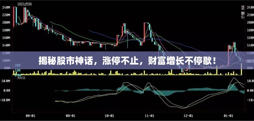 揭秘股市神话，涨停不止，财富增长不停歇！