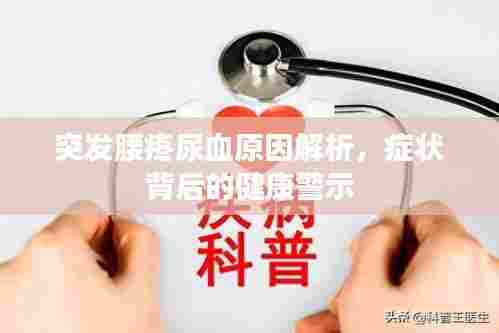 突发腰疼尿血原因解析,症状背后的健康警示