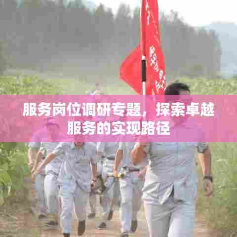 服务岗位调研专题,探索卓越服务的实现路径
