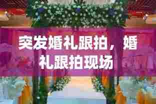 突发婚礼跟拍,婚礼跟拍现场