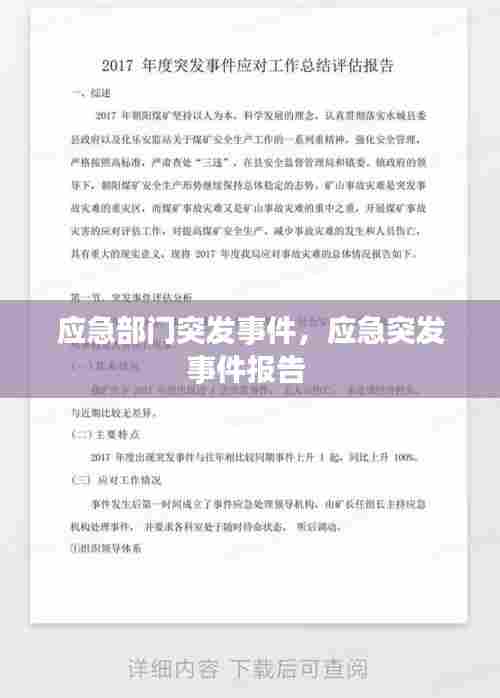 应急部门突发事件，应急突发事件报告 