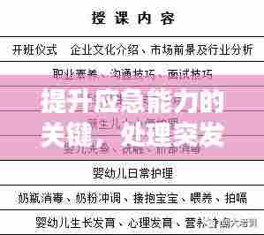 提升应急能力的关键,处理突发情况培训实战指南
