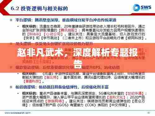 赵非凡武术，深度解析专题报告