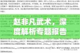 赵非凡武术,深度解析专题报告