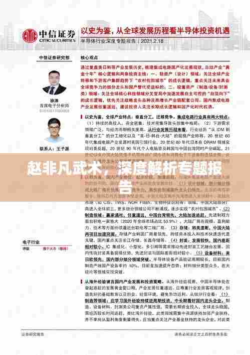 赵非凡武术,深度解析专题报告